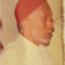 o ALI ZAMZARI