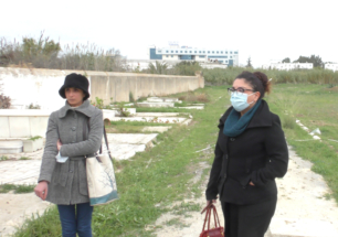 PPapi, un an déjà (3)