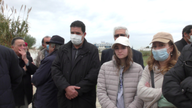 PPapi, un an déjà (32)