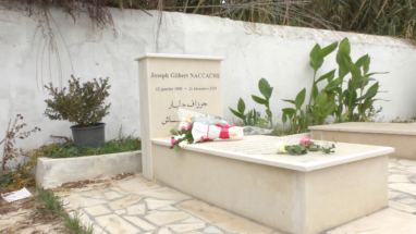 PPapi, un an déjà (50)