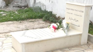 PPapi, un an déjà (7)